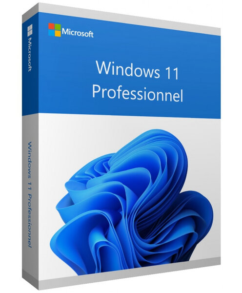 1x Windows 10 / 11 Pro 1PC [Activate by Phone]